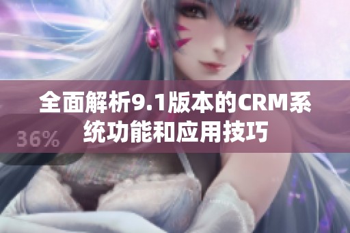 全面解析9.1版本的CRM系统功能和应用技巧