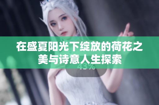 在盛夏阳光下绽放的荷花之美与诗意人生探索