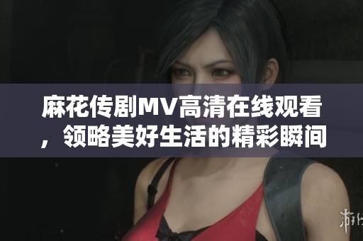 麻花传剧MV高清在线观看，领略美好生活的精彩瞬间