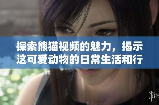 探索熊猫视频的魅力，揭示这可爱动物的日常生活和行为习惯