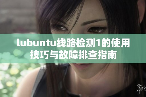 lubuntu线路检测1的使用技巧与故障排查指南