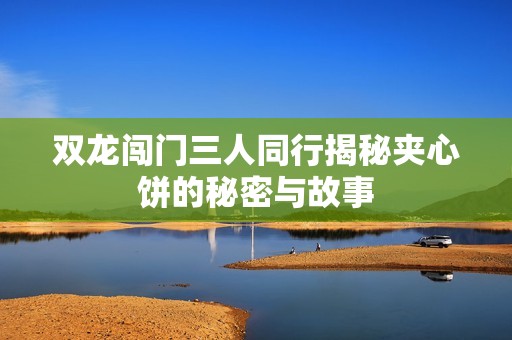 双龙闯门三人同行揭秘夹心饼的秘密与故事