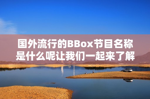 国外流行的BBox节目名称是什么呢让我们一起来了解一下