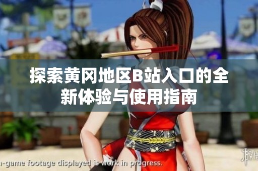 探索黄冈地区B站入口的全新体验与使用指南