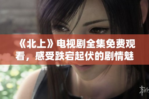 《北上》电视剧全集免费观看，感受跌宕起伏的剧情魅力