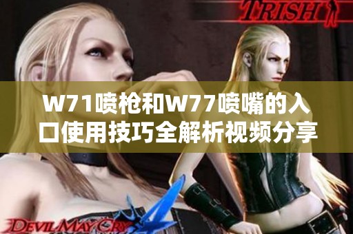 W71喷枪和W77喷嘴的入口使用技巧全解析视频分享