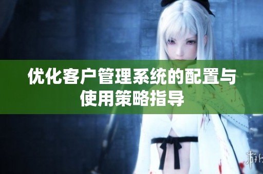 优化客户管理系统的配置与使用策略指导