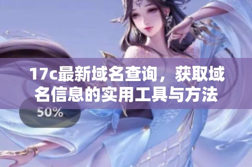 17c最新域名查询，获取域名信息的实用工具与方法