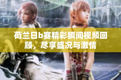 荷兰日b赛精彩瞬间视频回顾，尽享盛况与激情