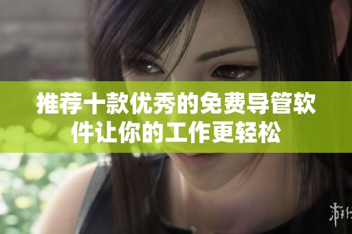 推荐十款优秀的免费导管软件让你的工作更轻松