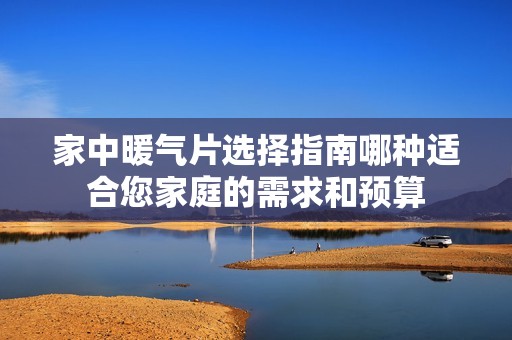 家中暖气片选择指南哪种适合您家庭的需求和预算