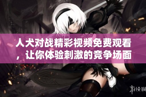 人犬对战精彩视频免费观看，让你体验刺激的竞争场面