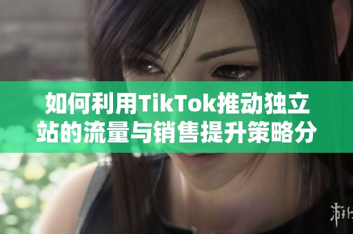 如何利用TikTok推动独立站的流量与销售提升策略分析