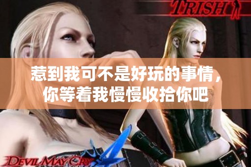 惹到我可不是好玩的事情，你等着我慢慢收拾你吧
