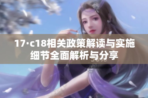 17·c18相关政策解读与实施细节全面解析与分享