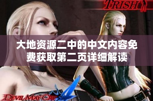 大地资源二中的中文内容免费获取第二页详细解读