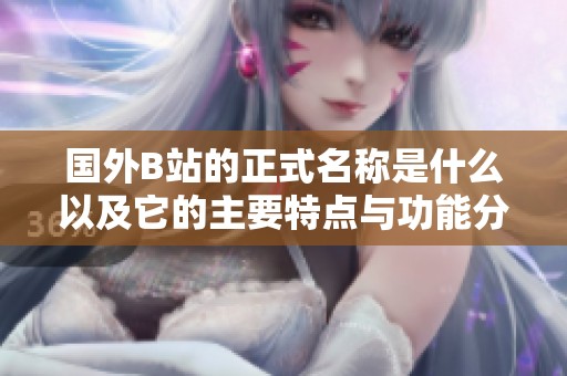 国外B站的正式名称是什么以及它的主要特点与功能分析