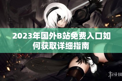 2023年国外B站免费入口如何获取详细指南