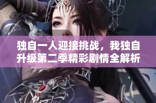 独自一人迎接挑战，我独自升级第二季精彩剧情全解析