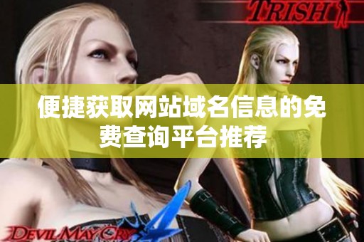 便捷获取网站域名信息的免费查询平台推荐