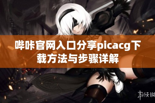 哔咔官网入口分享picacg下载方法与步骤详解