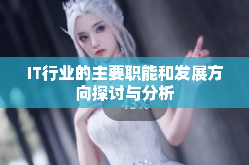 IT行业的主要职能和发展方向探讨与分析