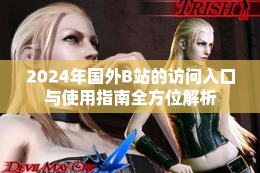2024年国外B站的访问入口与使用指南全方位解析