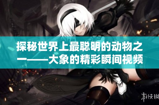 探秘世界上最聪明的动物之一——大象的精彩瞬间视频合集