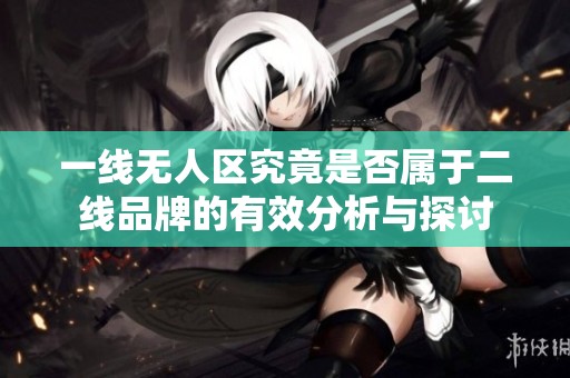 一线无人区究竟是否属于二线品牌的有效分析与探讨