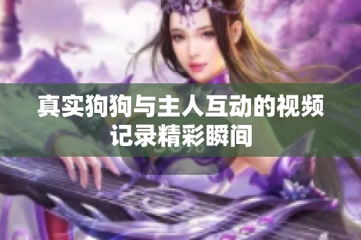 真实狗狗与主人互动的视频记录精彩瞬间
