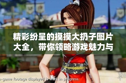 精彩纷呈的摸摸大扔子图片大全，带你领略游戏魅力与乐趣