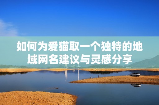 如何为爱猫取一个独特的地域网名建议与灵感分享