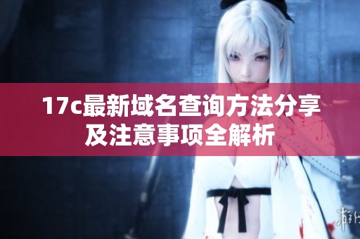 17c最新域名查询方法分享及注意事项全解析