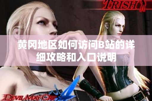 黄冈地区如何访问B站的详细攻略和入口说明