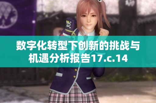 数字化转型下创新的挑战与机遇分析报告17.c.14
