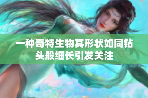 一种奇特生物其形状如同钻头般细长引发关注