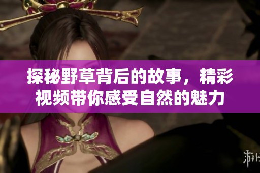 探秘野草背后的故事，精彩视频带你感受自然的魅力
