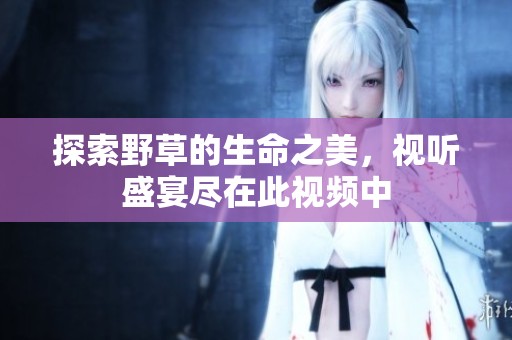 探索野草的生命之美，视听盛宴尽在此视频中
