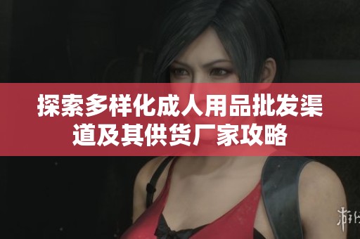 探索多样化成人用品批发渠道及其供货厂家攻略