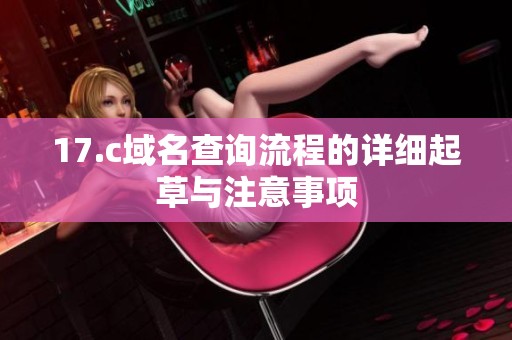 17.c域名查询流程的详细起草与注意事项