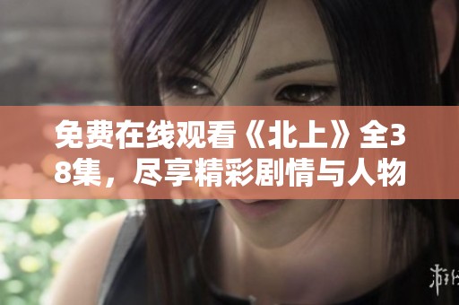 免费在线观看《北上》全38集，尽享精彩剧情与人物魅力