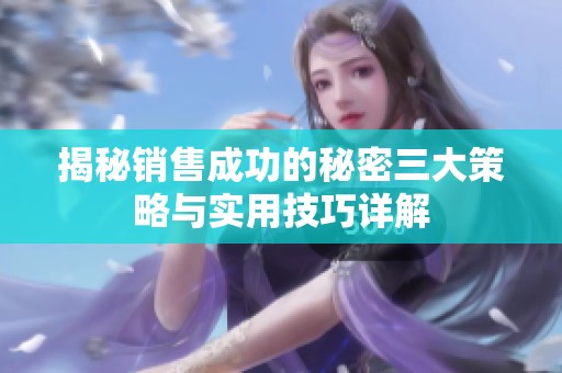 揭秘销售成功的秘密三大策略与实用技巧详解