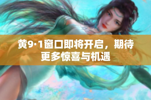 黄9·1窗口即将开启，期待更多惊喜与机遇