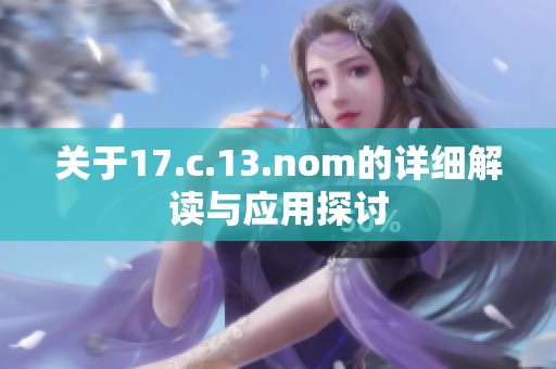 关于17.c.13.nom的详细解读与应用探讨
