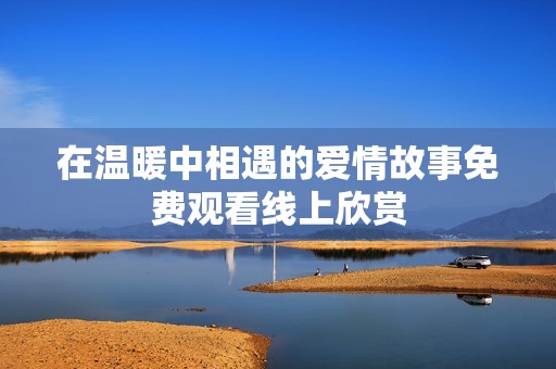 在温暖中相遇的爱情故事免费观看线上欣赏