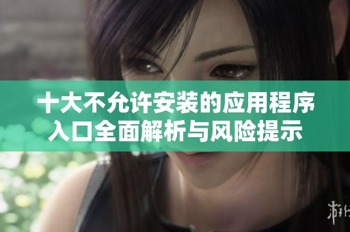 十大不允许安装的应用程序入口全面解析与风险提示