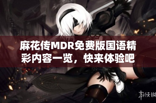 麻花传MDR免费版国语精彩内容一览，快来体验吧