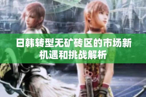 日韩转型无矿砖区的市场新机遇和挑战解析