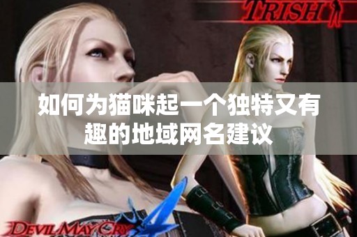 如何为猫咪起一个独特又有趣的地域网名建议
