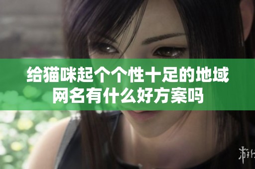 给猫咪起个个性十足的地域网名有什么好方案吗